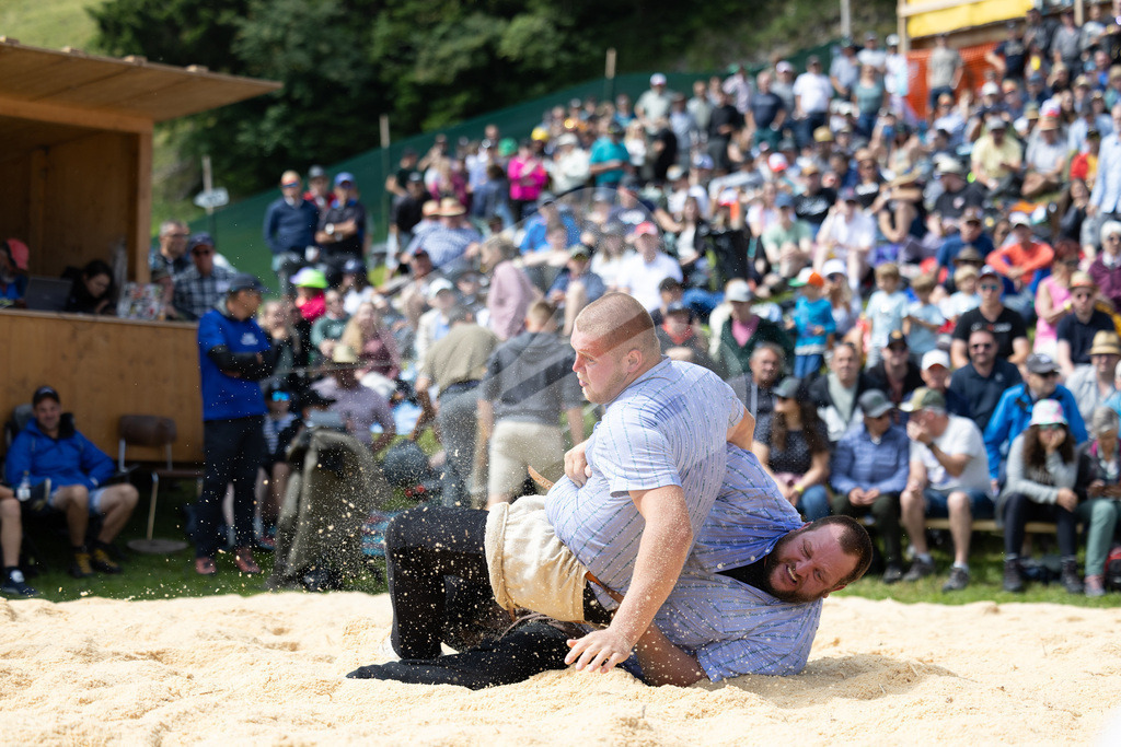 Rigi2025_1471 | Die Schwinger des Schwyzer Kantonalen Schwingerverbandes: Fotos, die Dynamik und Leidenschaft festhalten, sowie emotionale Momente aus dem traditionellen Schwingsport zeigen. - Realisiert mit Pictrs.com