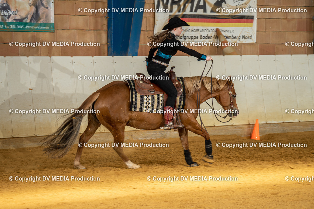 MIT00875 | dv-media-shop - Realisiert mit Pictrs.com