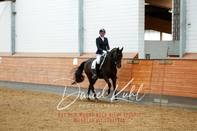 _62_5032 | Turniersportfotografie; Pferdefotografie; Dressurfotografie