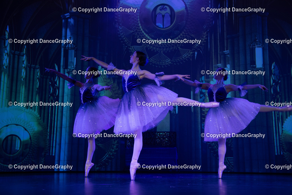 GPHY2613 | DanceGraphy - Realisiert mit Pictrs.com