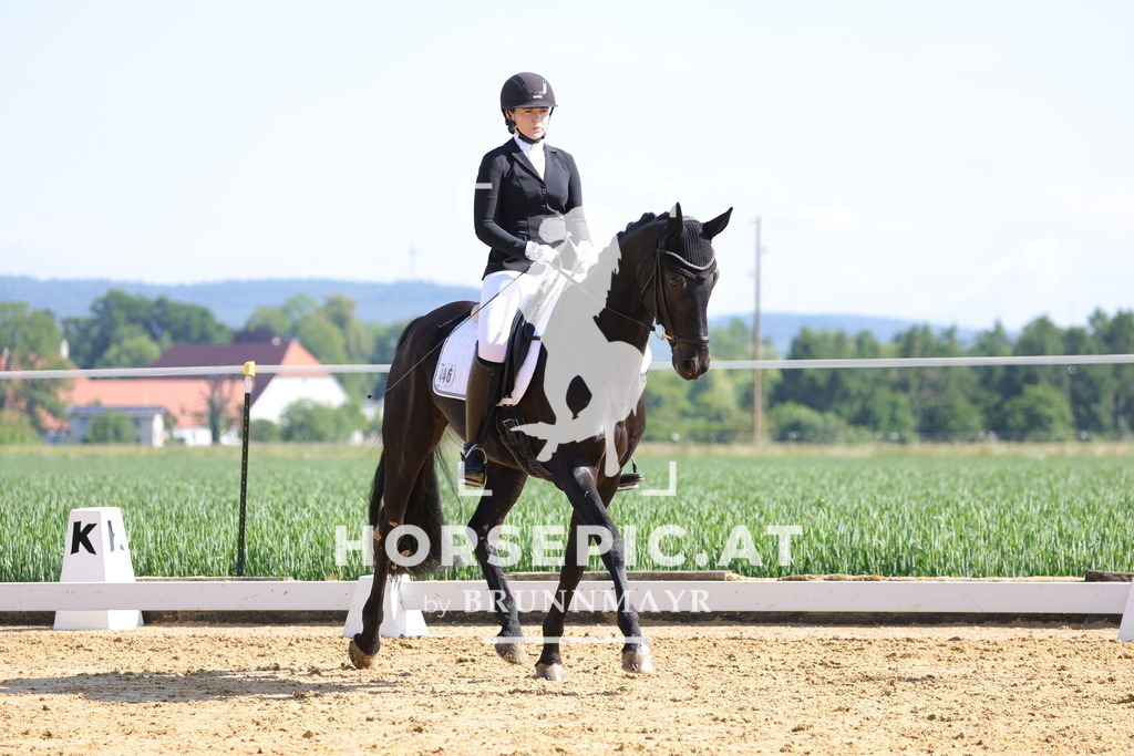 0P6A3710 | Willkommen bei Brunnmayr - Design & Fotografie – Ihrem Spezialisten für Reitturniere und Pferdeveranstaltungen in Oberösterreich, Salzburg und Bayern! Seit über 17 Jahren sind wir leidenschaftlich dabei.