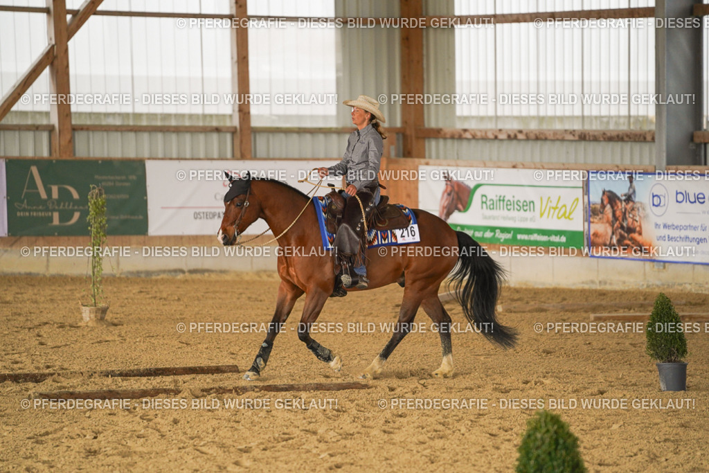 DSC02125 | Pferdegrafie