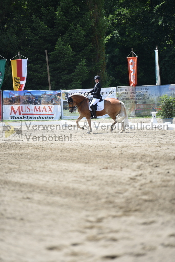 DSC_0348 | equestrian-live-com