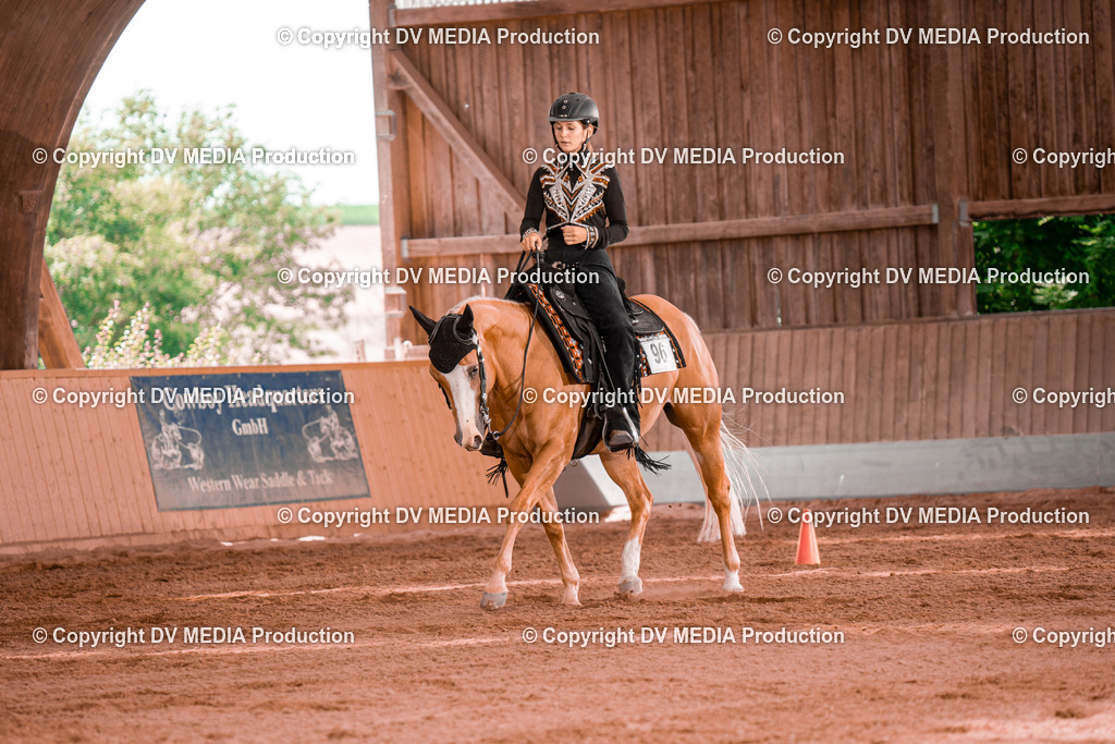 NE200365 | dv-media-shop - Realisiert mit Pictrs.com