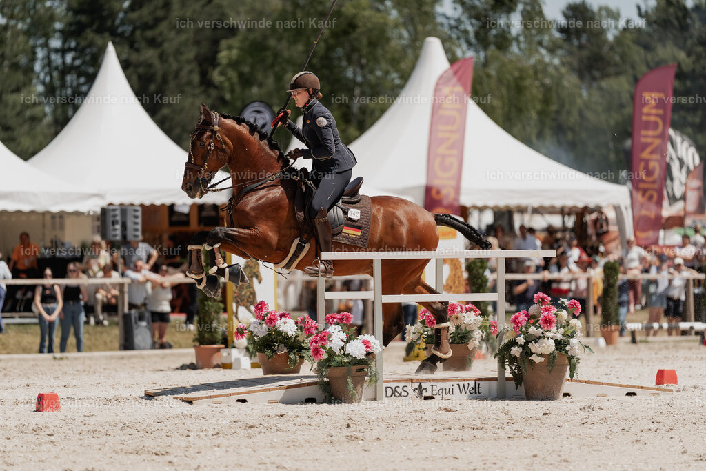 WE_SP_Stoib_340_PI2025_1965 | Pferd International München 2025