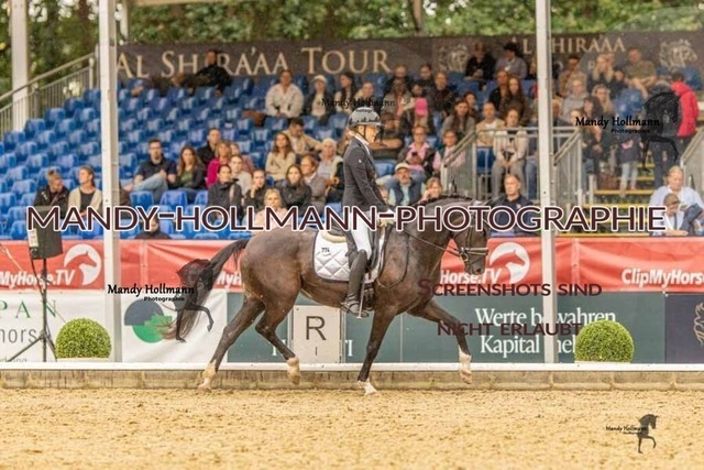 28-8-26 5j DRE-1159 | mandyhollmannphotographie