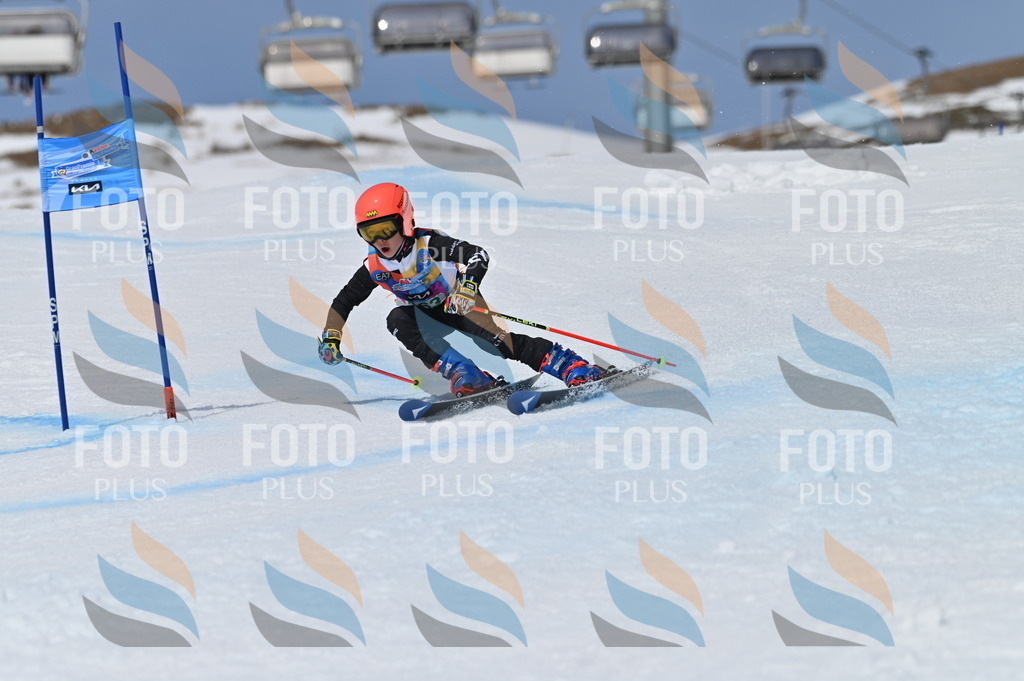 BGV_7171 | holidayphoto