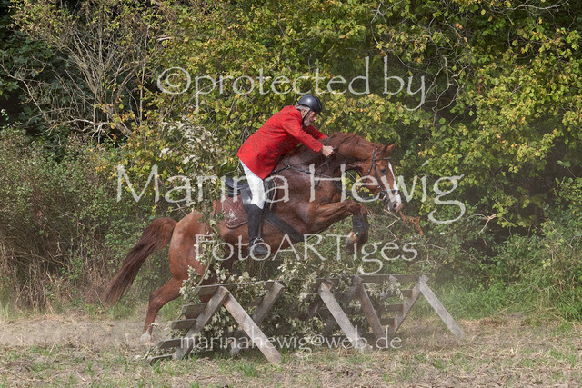 09-23 Jagd Perdöl_MCH9768_Marina Hewig | Fotografie, FotoArt, PferdesportArt, Pferdesportfotografie, Landschaftsfotografie, Reisefotografie, Reise, Pferde - Realisiert mit Pictrs.com