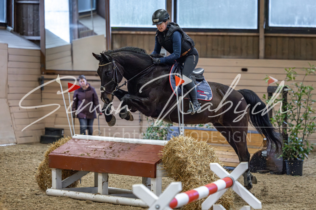 20260222-_3LI1173 | Tierfotografie Pferde, Hunde, Katzen, Haustiere.
Turnierfotografie Reitturniere, Reiten, Springreiten, Dressur in Hanau, dem Main-Kinzig-Kreis und dem Rhein-Main- Gebiet um Frankfurt