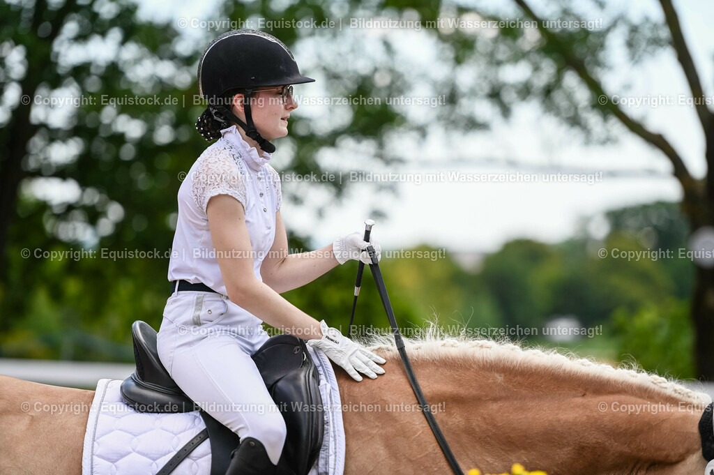 20230715_05_Dressurprüfung Kl.A++_0123 | equistock