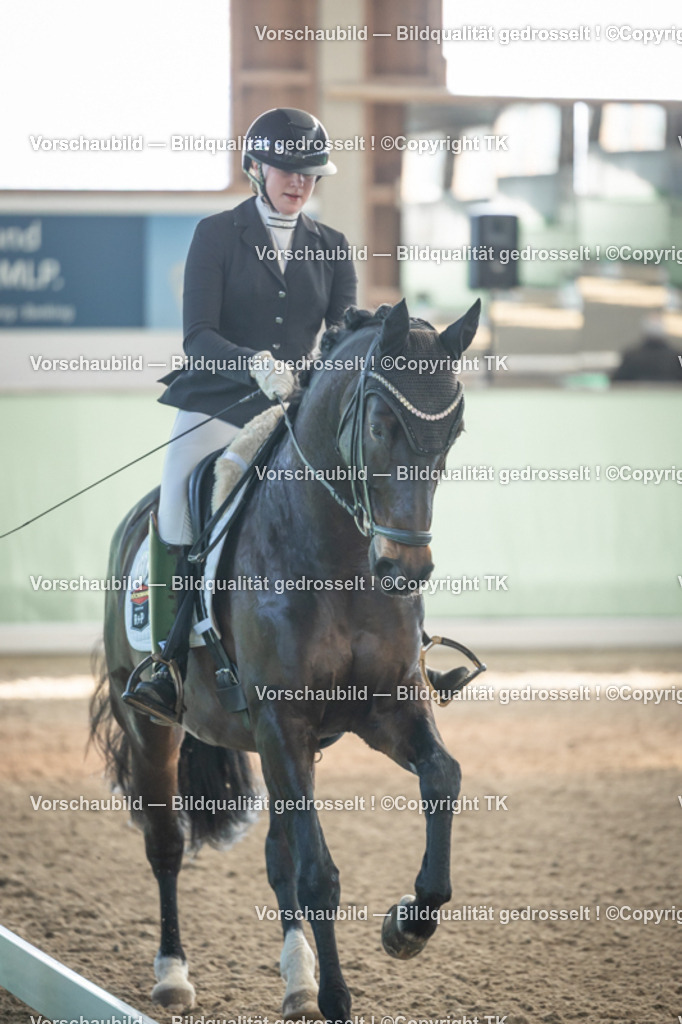 _D5A0496 | Emotionale Pferde- & People-Fotografie rund um Heidelberg, Leimen & Umgebung. Natürliche Fotos von Pferd, Mensch & Familie. Jetzt Termin sichern!