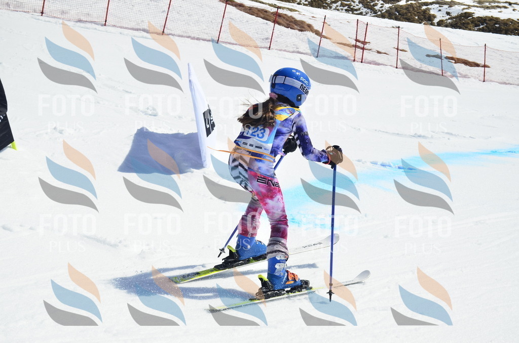 _ELE0762 | holidayphoto