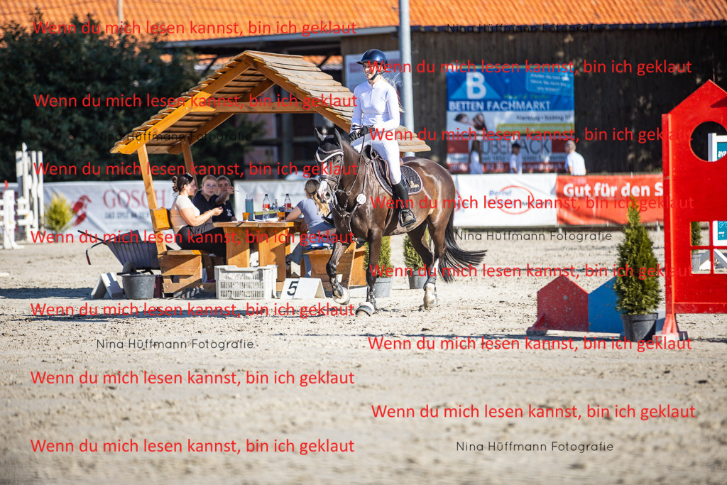 BK1A7592 | Turnierbilder Turnierfotos Nina Hüffmann Turnierfotografie Pferdefotografie Tierzeichnung Haustierzeichnung Pferdezeichnung Hundezeichnung Videograf  - Realisiert mit Pictrs.com