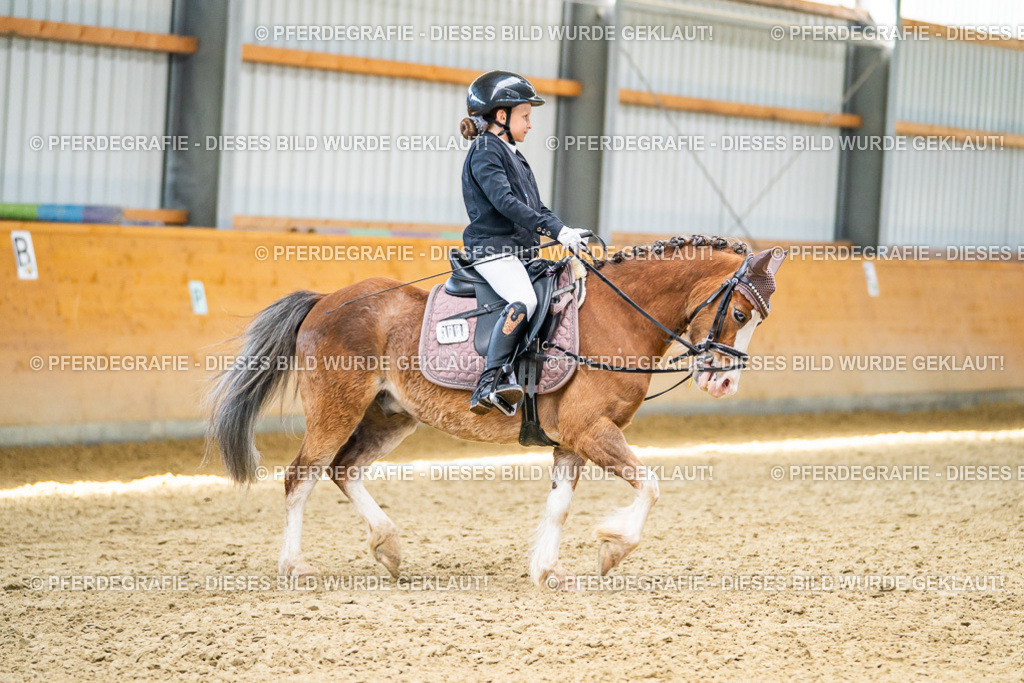 DSC02854 | Pferdegrafie