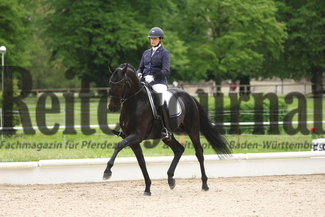 Ludwigsburg_2023_Prfg.Nr.08_Dressurpferde_Kl.L_Dagmar Hoidn_Kalium 3 (4) | Alle Fotos der Reiterjournal Fotografin Doris Matthaes im Reiterjournal Online-Fotoshop. - Realisiert mit Pictrs.com
