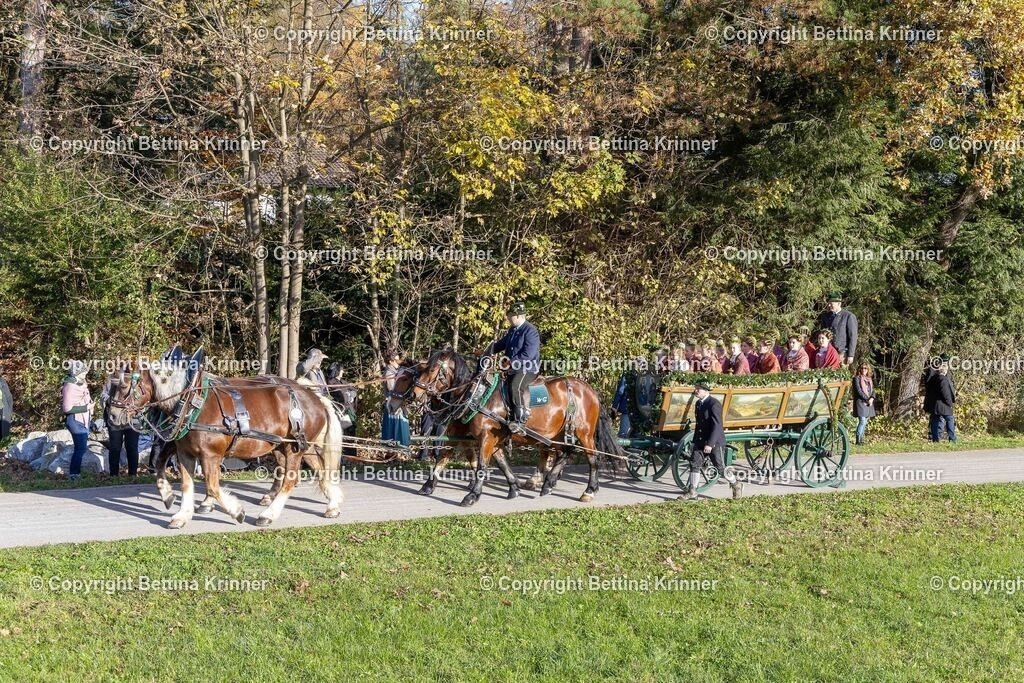 LBT24-119 | foto-bettina-krinner - Realisiert mit Pictrs.com