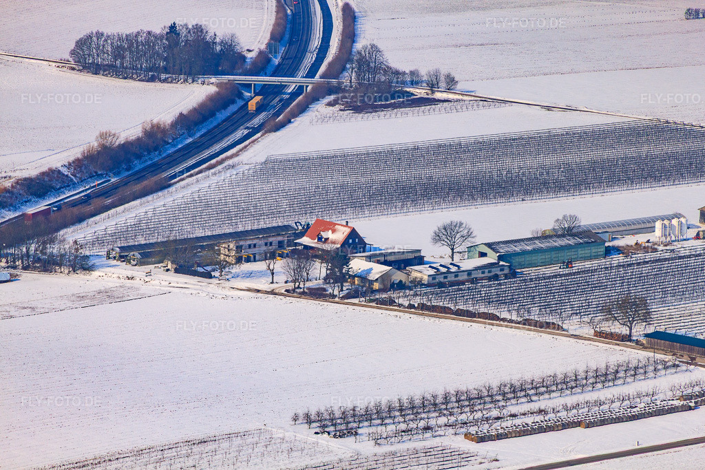 Luftbild: Zapf Frischgemüse im Winter bei Schnee in Kandel im Bundesland Rheinland-Pfalz in Deutschland. Foto: IMG_24356.jpg vom 16.02.2010 durch Werner Riehm/FLY-FOTO.de