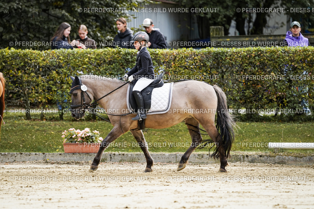 DSC05607 | Pferdegrafie