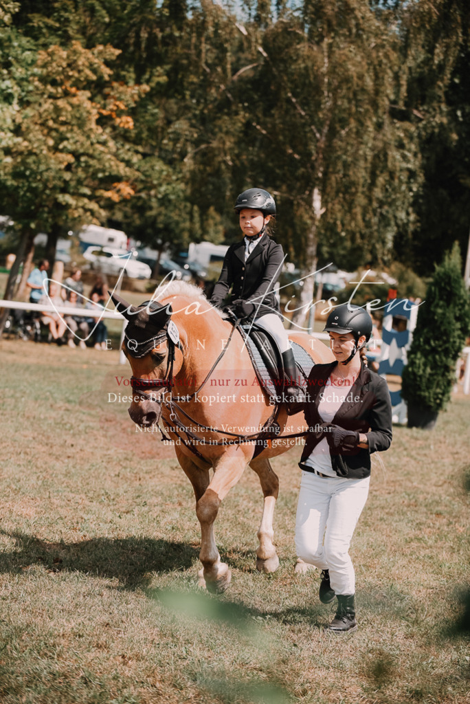 DSC_6138 | Pferde- und Turnierfotografie in Westsachsen. Pferdeportraits, Auftragszeichnungen und intuitive Kunst.