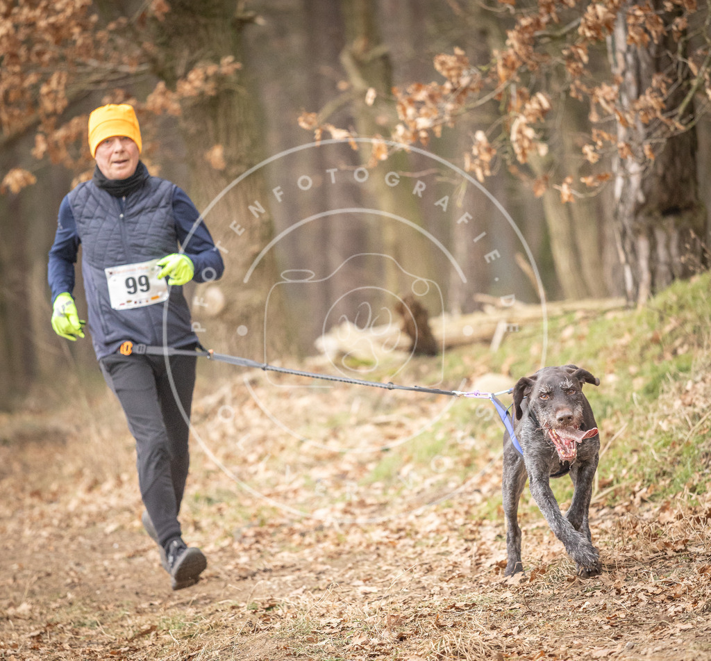 Pfotenfotografie_DV3A5018 | Hundefotografie, Tierfotograf, Pfotenfotografie, Fotoshooting Hund, Hunde Portrait, Hundesport, Hundeportraits, Heideshooting, Hunde, Sportfotograf, Hundefotograf, Turnierhundsport, THS,  - Realisiert mit Pictrs.com
