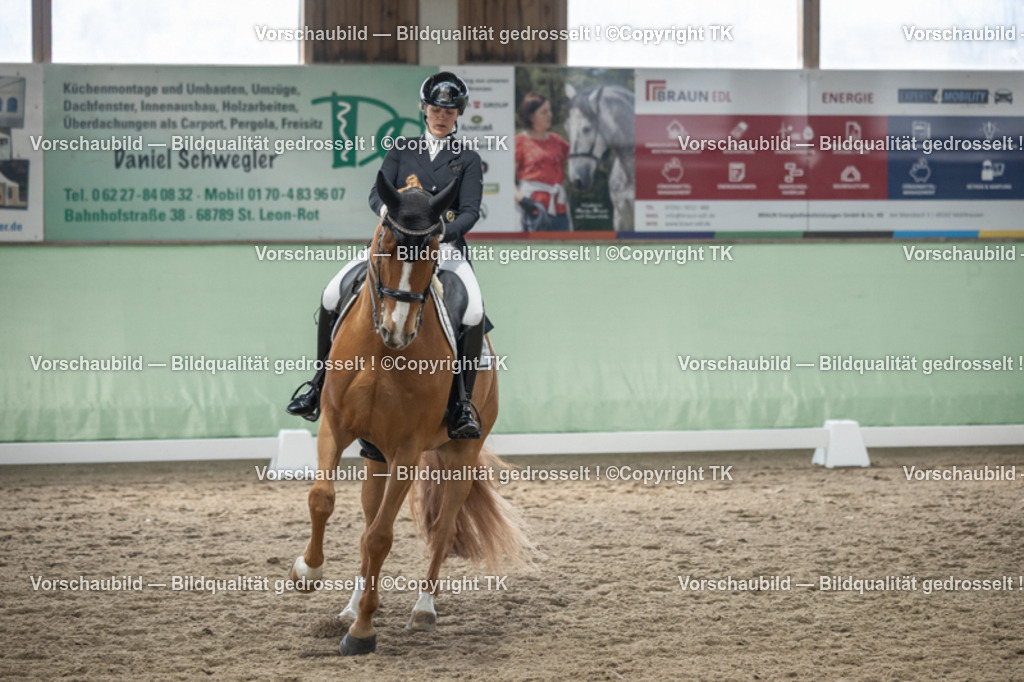 _D5A5074 | Emotionale Pferde- & People-Fotografie rund um Heidelberg, Leimen & Umgebung. Natürliche Fotos von Pferd, Mensch & Familie. Jetzt Termin sichern!