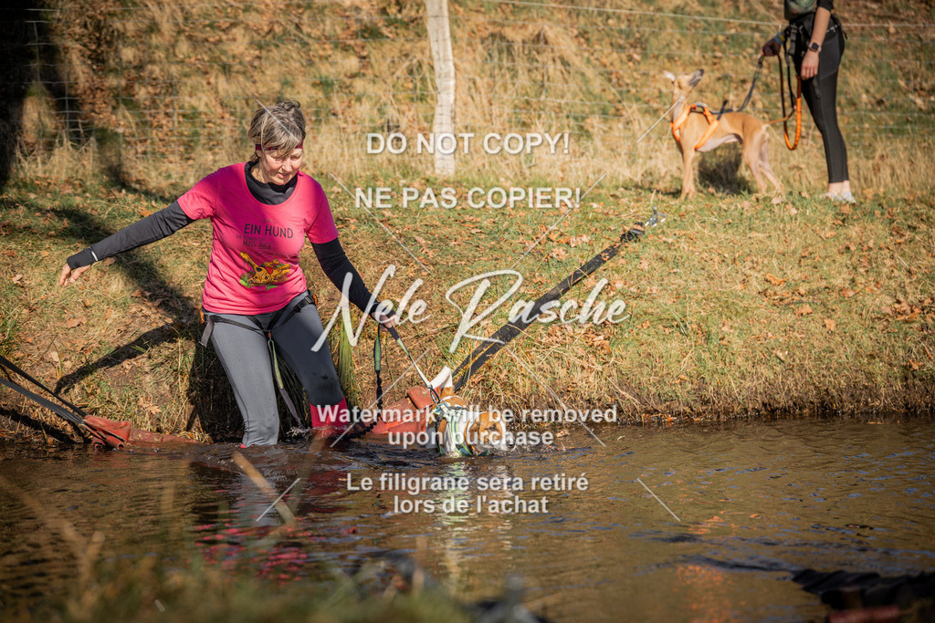 nelerasche_FS0900-1000_332 | nelerasche