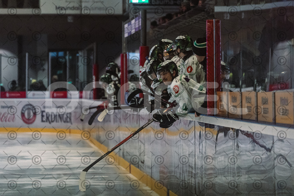 Erding_vs_Alligators_02_01_2026-51 | Höchstadt Alligators Fotogalerie: Eishockey-Action aus Franken. Professionelle Spielfotos, Portraits & Stadionbilder zum Download. Jetzt entdecken! - Realisiert mit Pictrs.com