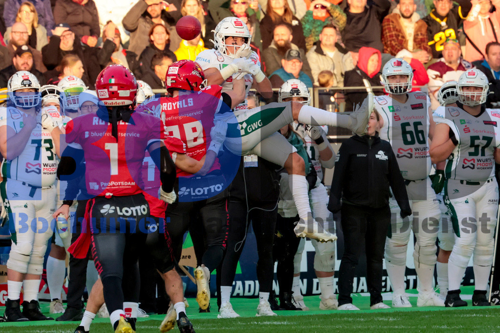  14.10.2023 - 
 | Sebastian Sendlak / Bochumer Nachrichtendienst (BOND) - GFL-Bowl 2023: Schwaebisch Hall Unicorns vs. Potsdam Royals - Realisiert mit Pictrs.com
