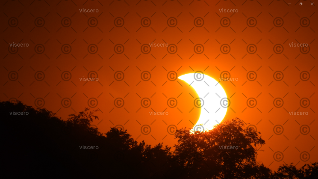 Screenshot 2026-08-14 000757 | viscero