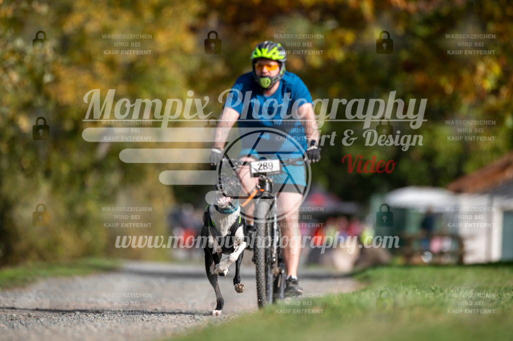 TSB_2023_E2_Bike-10 | PayLife
