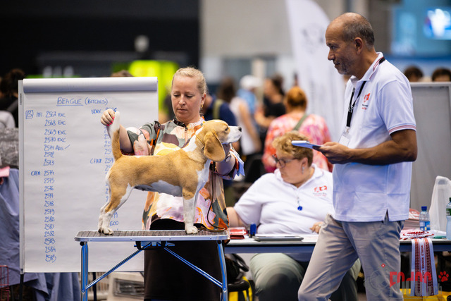 World Dog Show Donnerstag | World Dog Show 2023 Donnerstag im Palexpo in Genf 24.08.2023 Foto: Leo Wyden