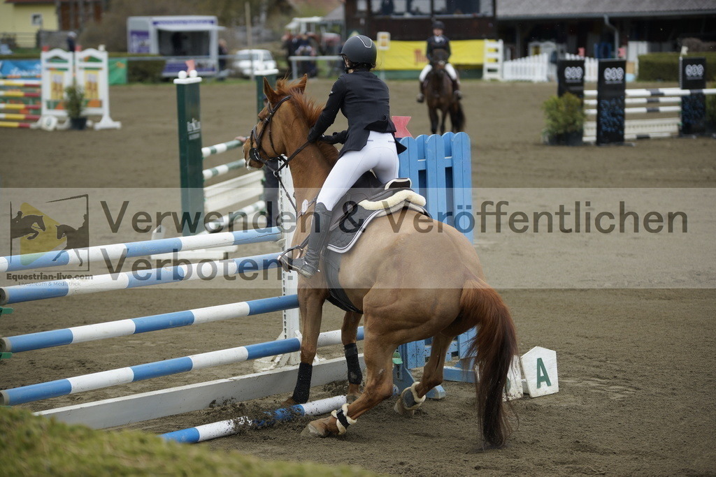 _DSC7068 | equestrian-live-com