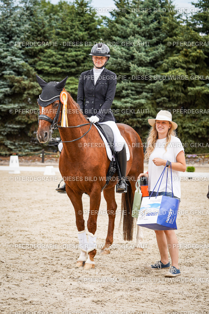 DSC04741 | Pferdegrafie