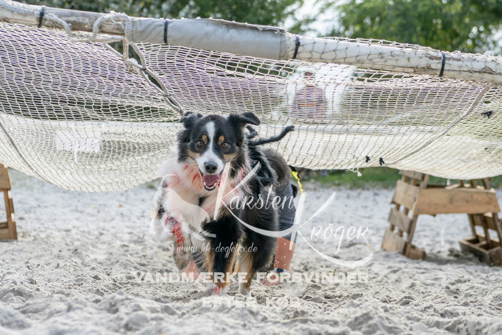 1233_ZZ91869 | kk-dogfotos