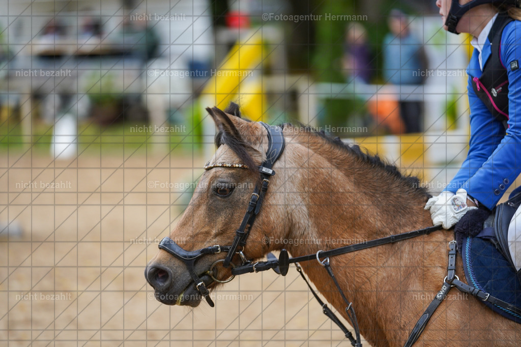 20221009-FAH08353 | Diessen am Ammersee, 2022, Dressur- und Springturnier, Reitsportbilder, Turnierfotografen Bayern, Pferdefotografen, Fotoagentur Herrmann, Turnierbilder
