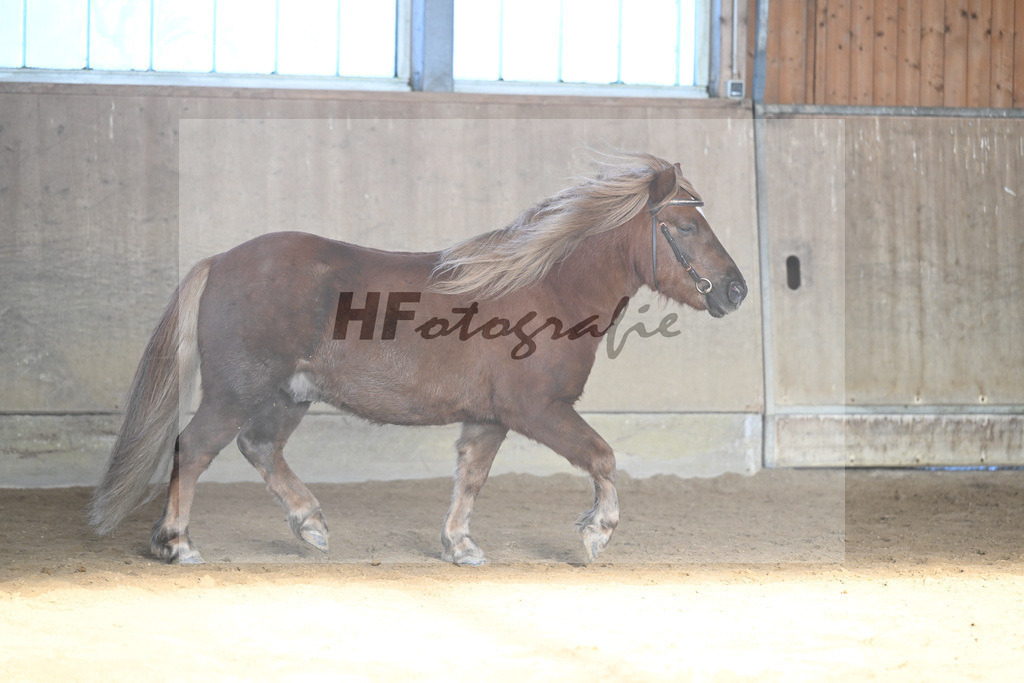 Kat-Nr. 18 Well Doves Walesco v. Well done_Laege u Ruediger_49250799 | hf-fotografie - Realisiert mit Pictrs.com