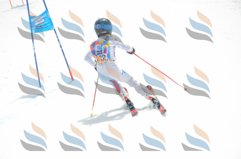 _ELE7198 | holidayphoto