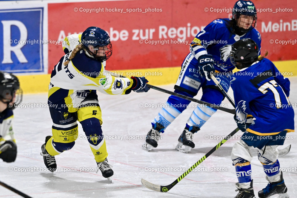 LADY HAWKS vs. WILDCATS PATERNION | #6 Jelovcan Selina WILDCATS PATERNION, #7 Fuchs Lena LADY HAWKS, #77 Lang Chiara LADY HAWKS, LADY HAWKS vs. WILDCATS PATERNION, LADY HAWKS vs. WILDCATS PATERNION am 12.03.2025 in Steindorf (Ossiachersee Halle), Austria, (Photo by Bernd Stefan)