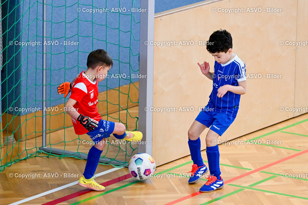ASVÖ_ Fussball Nachwuchs Hallenturnier 2026_ SV Gallneukirchen_ 28.02.2026-256 | 28.02.2026, Gallneukirchen, AUT, ASVÖ, Fussball Nachwuchs Hallenturnier 2026, SV Gallneukirchen im Bild Teilnehmer U7©Harald Dostal / fodo.media - Realisiert mit Pictrs.com