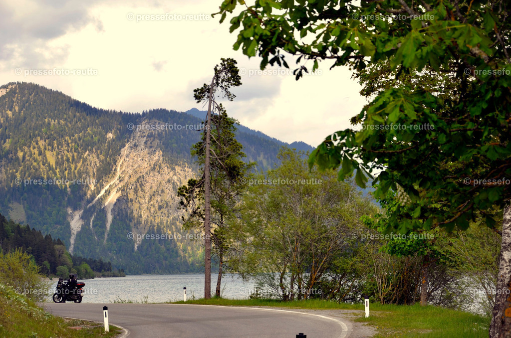 welltvi-Plansee-Impression-Mai2016-_DSC1992 | Info aus dem Bezirk Reutte/Ausserfern Tirol sowie eine umfangreiche Bilddatenbank über die gesamte Region: Lechtal, Talkessel Reutte, Tannheimertal, Zwischentoren. Lech, Plansee, Zugspitze, Grenztunnel, B179, Fernpassstraße, Verkehr, Lawinen, Tradition, - Realisiert mit Pictrs.com