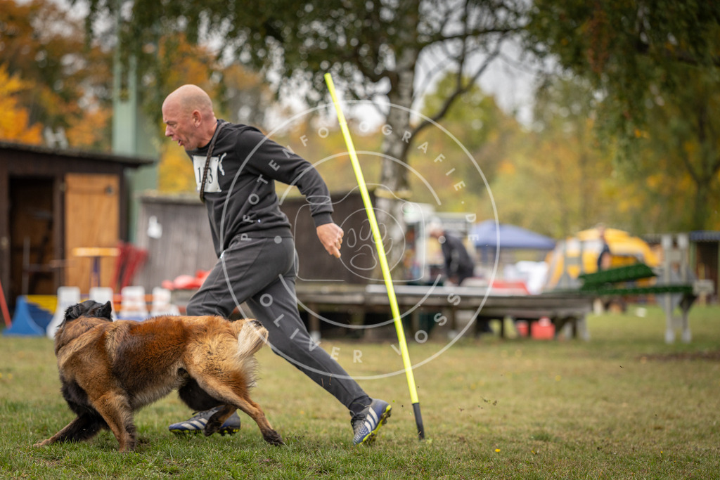 Pfotenfotografie_DV3A6072 | Hundefotografie, Tierfotograf, Pfotenfotografie, Fotoshooting Hund, Hunde Portrait, Hundesport, Hundeportraits, Heideshooting, Hunde, Sportfotograf, Hundefotograf, Turnierhundsport, THS,  - Realisiert mit Pictrs.com
