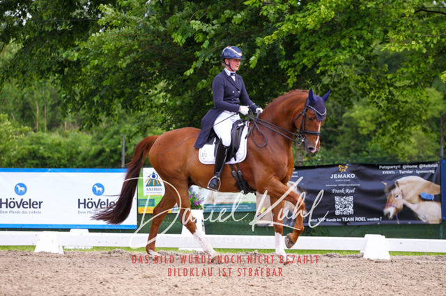 DKP41555 | Turnierfotos kaufen im Webshop von Daniel Kuhl Photography – entdecke professionelle Reitsportfotos aus Turnieren & Events. Hochwertige Turnierbilder online bestellen & sichern. Jetzt Fotos von Reitsportturnieren kaufen!