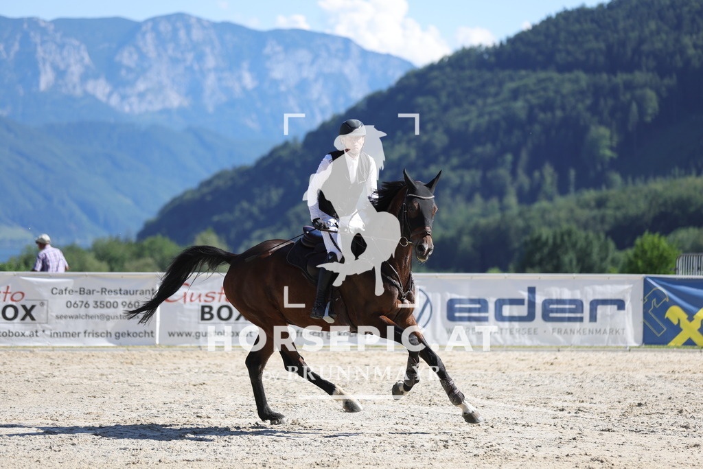 0P6A4108 | Willkommen bei Brunnmayr - Design & Fotografie – Ihrem Spezialisten für Reitturniere und Pferdeveranstaltungen in Oberösterreich, Salzburg und Bayern! Seit über 17 Jahren sind wir leidenschaftlich dabei.