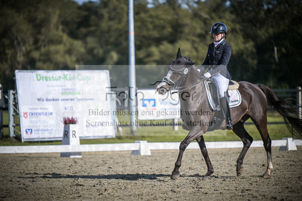DOS_3146 | Entdecke hochwertige Reitturnierfotos von Foto Oger. Professionell, emotional und authentisch – jetzt Lieblingsmomente im Shop bestellen.Deutschlandweite Turnierfotografie. - Realisiert mit Pictrs.com