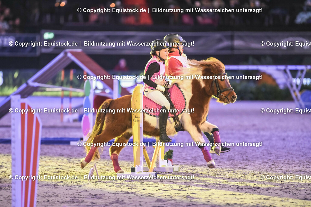 20231115_Dog-Agility_0222_TOMsPiC | Foto: Thomas Hartig