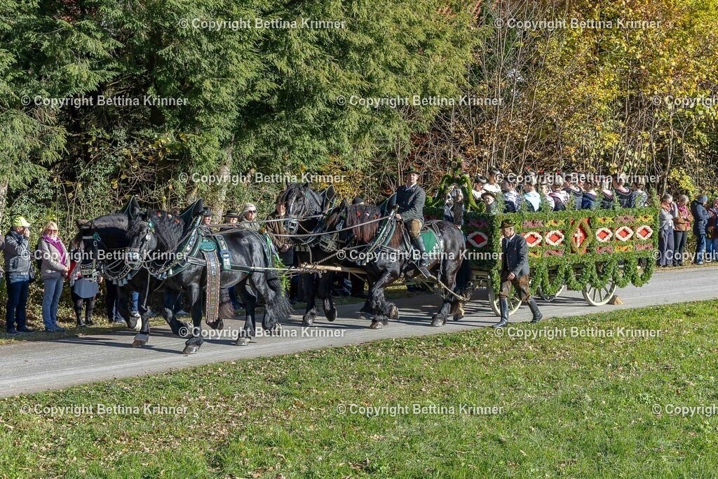 LBT25-302 | foto-bettina-krinner - Realisiert mit Pictrs.com