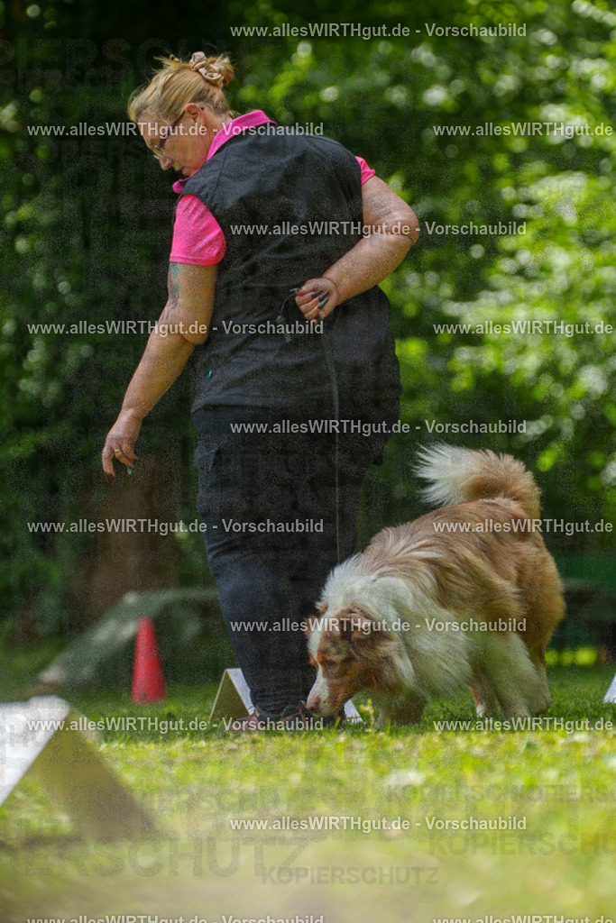 @allesWIRTHgut_Tierfotografie - www.allesWIRTHgut.de - 7R505045 | Professionelle Tierfotografie in Mönchengladbach von Daniel Wirth (allesWIRTHgut). Liebevolle & natürliche Bilder von Hunden & Katzen für unvergessliche Erinnerungen.