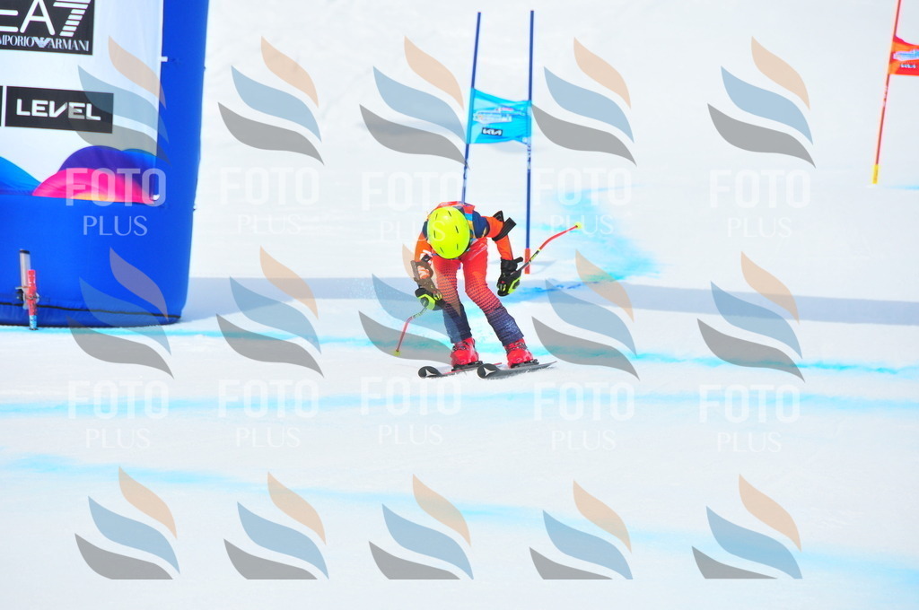 DSC_2074 | holidayphoto