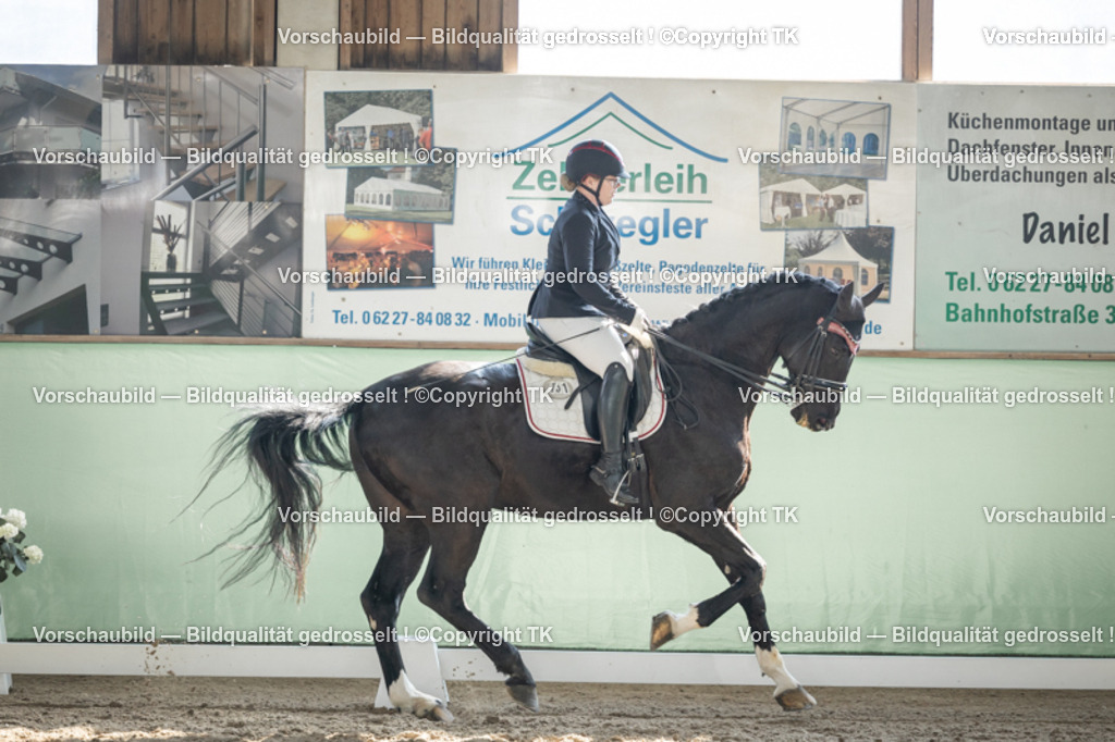 _D5A2717 | Emotionale Pferde- & People-Fotografie rund um Heidelberg, Leimen & Umgebung. Natürliche Fotos von Pferd, Mensch & Familie. Jetzt Termin sichern!