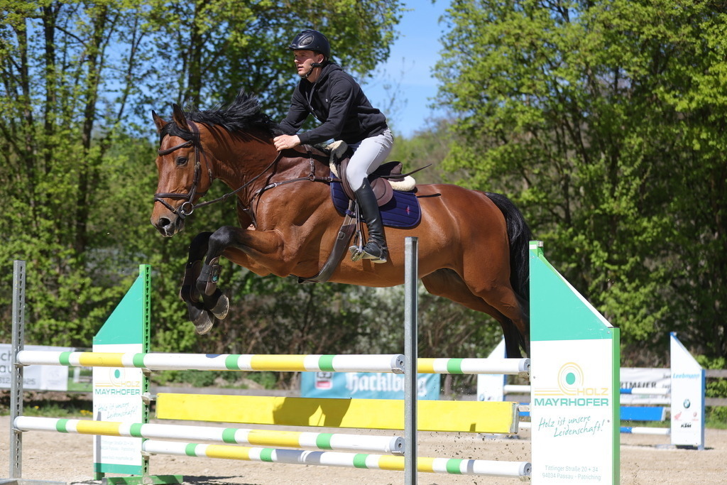 0P6A8146 | Willkommen bei Brunnmayr - Design & Fotografie – Ihrem Spezialisten für Reitturniere und Pferdeveranstaltungen in Oberösterreich, Salzburg und Bayern! Seit über 17 Jahren sind wir leidenschaftlich dabei.